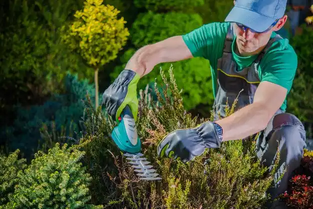 landscaping services Lone Jack